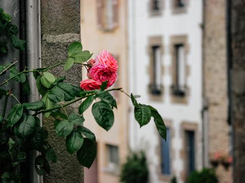  欧洲乡村风景 欧洲建筑别墅图 