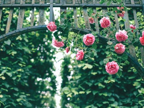  欧洲乡村风景 欧洲建筑别墅图 