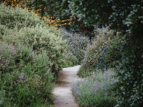  欧洲乡村风景 欧洲建筑别墅图 