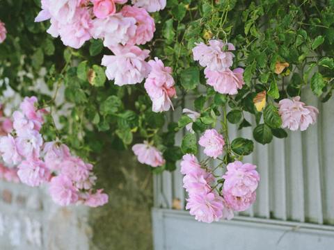  欧洲乡村风景 欧洲建筑别墅图 