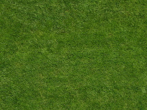  现代绿色草皮地面 