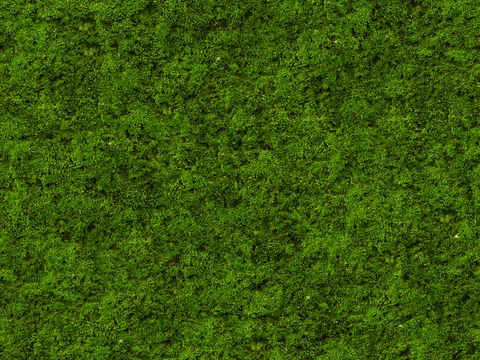  现代绿色草皮地面 