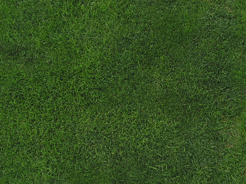  现代绿色草坪地面 