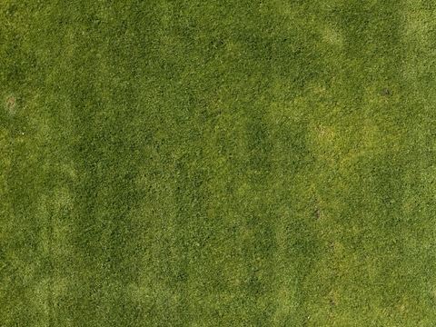  现代绿色草皮地面 