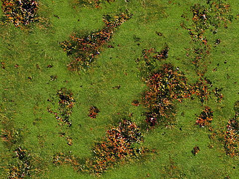  现代草皮苔藓地面 