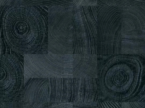  年轮木纹贴图 