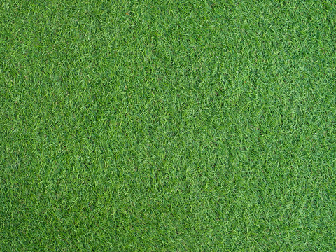 现代绿色草皮地面 