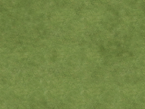  室外草坪草地草皮 