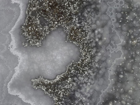  灰雀玉玉石奢石石材贴图 