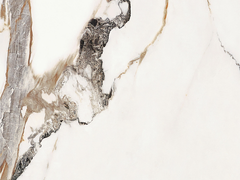  现代 简约  新中式风格 宝格丽背景 