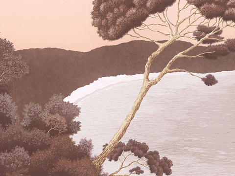  红褐色植物壁纸 