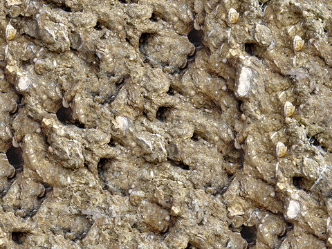  无缝黄色文化石墙岩石材墙面 