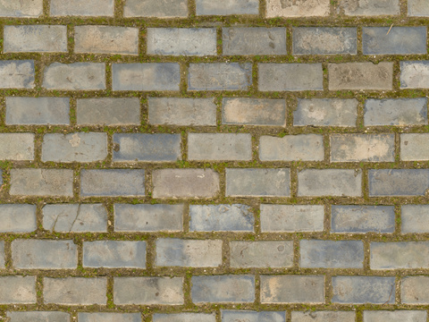  无缝室外长草砖石 水泥地面 