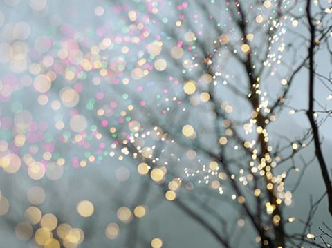  现代简约艺术摄影相框装饰画挂画贴图 