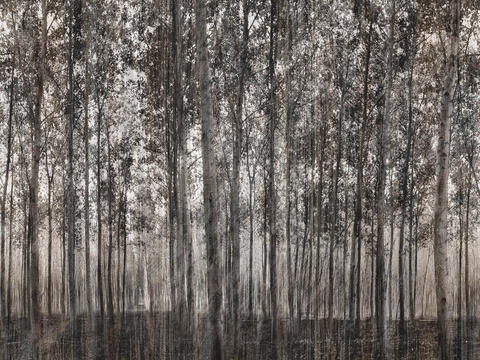  棕灰色植物壁纸 