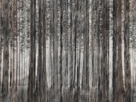  棕灰色植物壁纸 