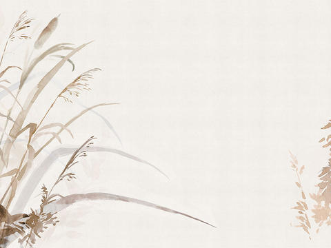  橙色植物装饰画 