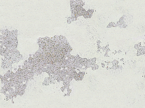  无缝灰白色做旧破损混凝土水泥墙面地面 