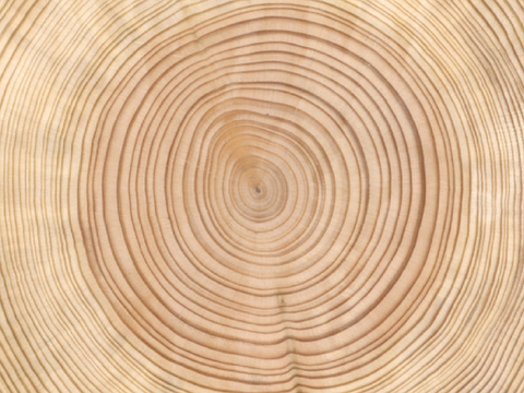  深色年轮木纹贴图 