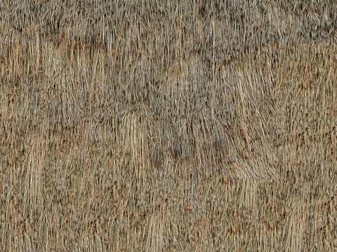  无缝干枯干草稻草茅草屋顶墙面 