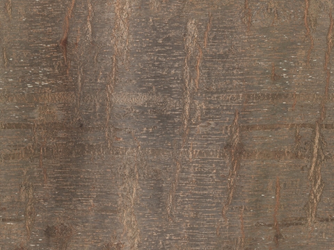  木材 木纹 树皮 树干 