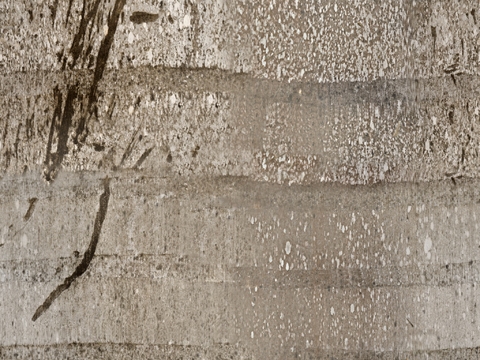  木材 木纹 树皮 树干 