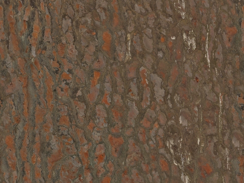  木材 木纹 树皮 树干 