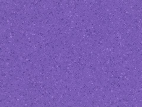  紫色橡胶 塑胶 地胶pvc 