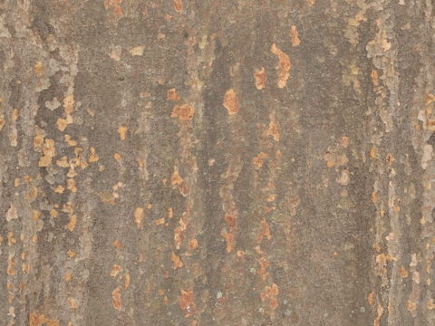  木材 木纹 树皮 树干 