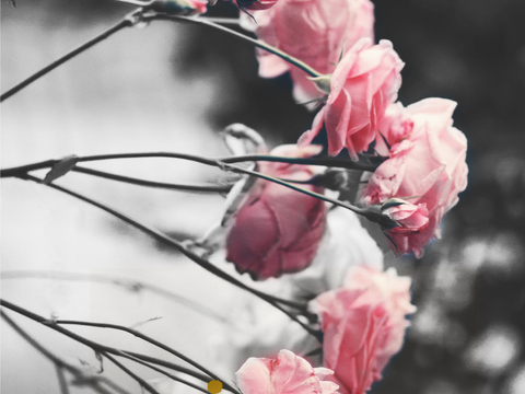  现代轻奢装饰画贴图 