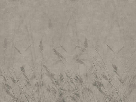  米灰色植物壁纸 