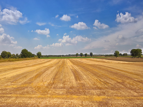  乡村景观自然风景 