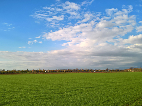  乡村景观自然风景 