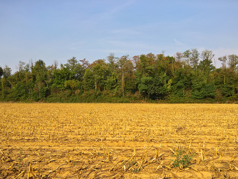  乡村景观自然风景 