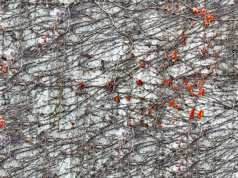  无缝做旧混凝土清水泥建筑外墙墙面 