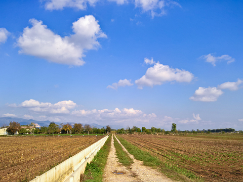  乡村景观自然风景 