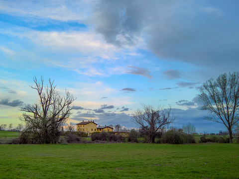  乡村景观自然风景 