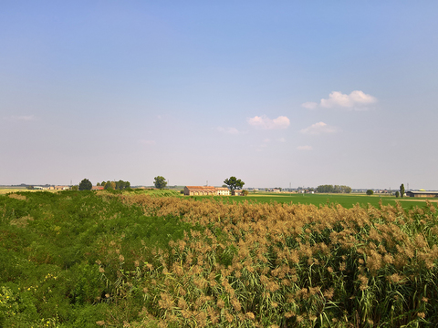  乡村景观自然风景 