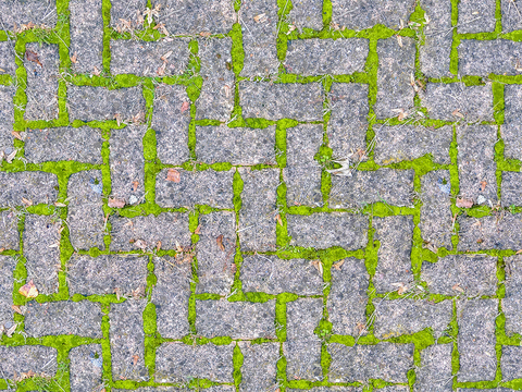  无缝人字纹拼花水泥地砖人行道路地面广场铺贴 