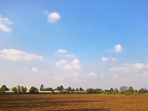  乡村景观自然风景 