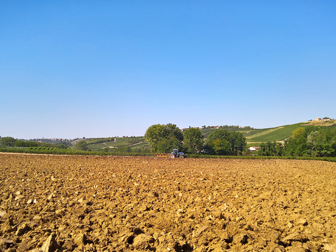  乡村景观自然风景 