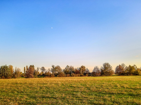  乡村景观自然风景 