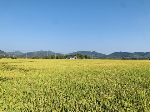  原野乡村田园蓝天白云外景贴图 