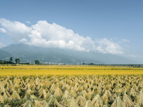  原野乡村田园蓝天白云外景贴图 (2) 