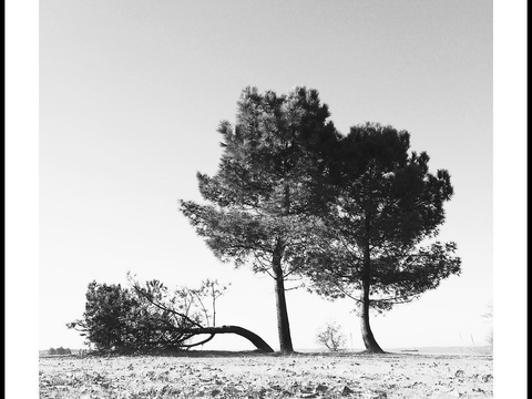  风景挂画风景装饰画 