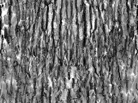  黑白 凹凸 木纹黑白凹凸 