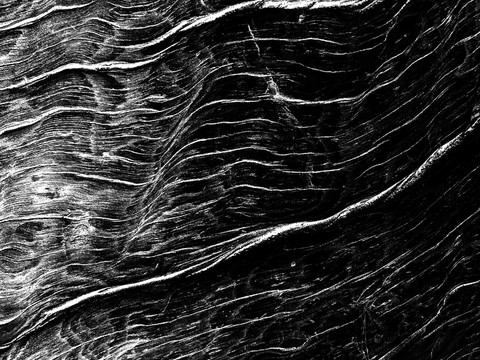  黑白 凹凸 木纹黑白凹凸 