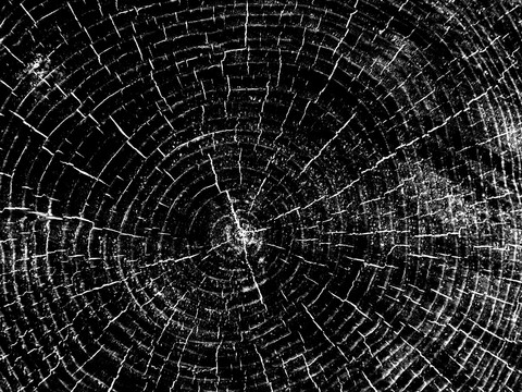  黑白 凹凸 木纹黑白凹凸 