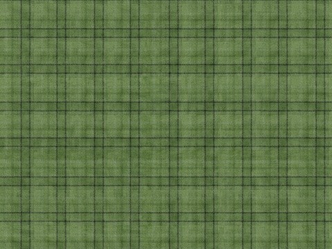  绿色格子布纹 