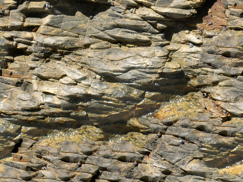  无缝黄色文化石墙岩石材墙面 